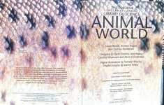 Animal World