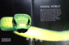 Animal World