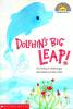 Dolphin\'s Big Leap