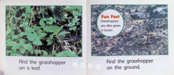 Grasshoppers