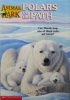 Polar Bears on the Path Animal Ark Series #37