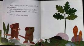 Dot  Jabbers Great Acorn Mystery