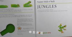 Nature hide and seek·Jungles