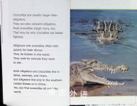 SNAP A Book About Alligators and Crocodiles