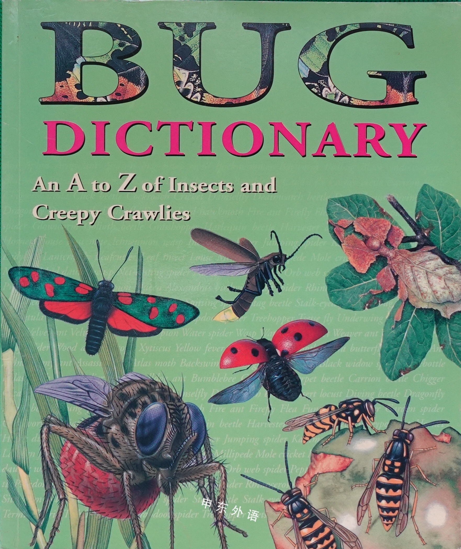 Bug Dictionary An A To Z Of Insects And Creepy Crawlies bug-dictionary-an-a-to-z-of-insects-and-creepy-crawlies