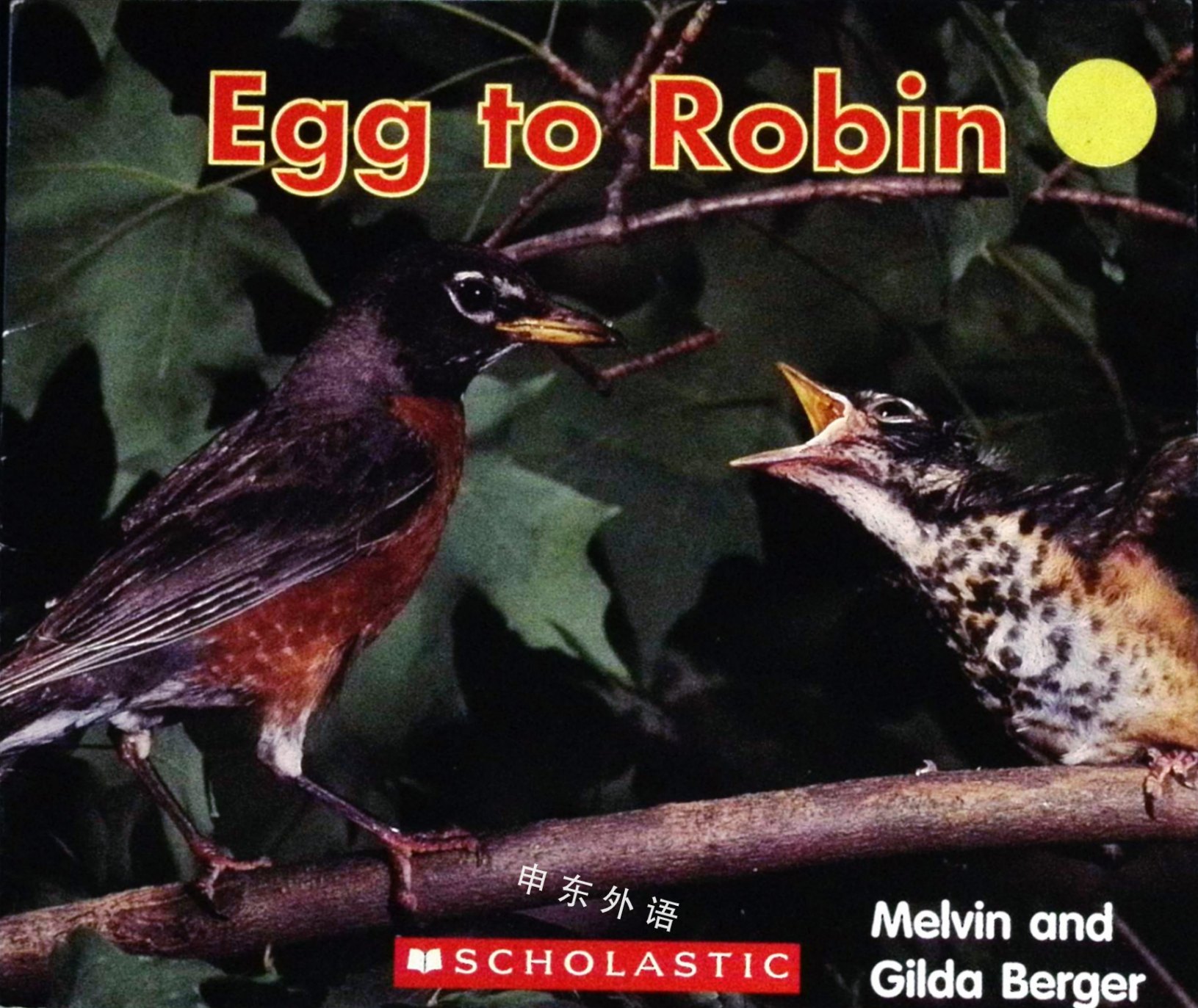 Egg To Robin 动物 儿童图书 进口图书 进口书 原版书 绘本书 英文原版图书 儿童纸板书 外语图书 进口儿童书 原版儿童书