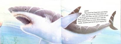 I Can Read About Sharks