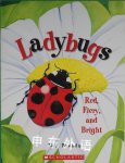 Ladybugs: Red Fiery and Bright Mia Posada