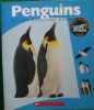 Penguins A First Discovery Book