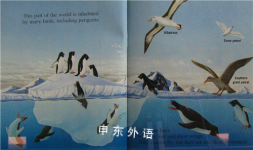 Penguins A First Discovery Book