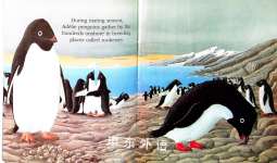 Penguins A First Discovery Book
