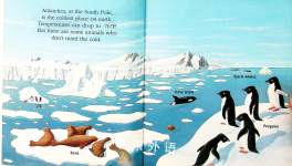 Penguins A First Discovery Book