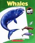 Whales A First Discovery Book Gallimard Jeunesse