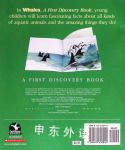 Whales A First Discovery Book