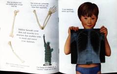 Hidden World: Human Body A First Discovery Book