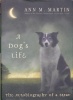 A Dog\'s Life:The Autobiography of a Stray