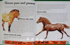 Horse Dictionary: An A to Z of Horses