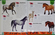 Horse Dictionary: An A to Z of Horses