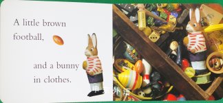 I Spy Little Bunnies