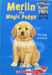 Merlin the Magic Puppy Jenny Dale