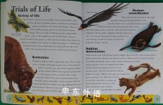 Endangered Animals Dictionary An A to Z of Threatened Species An A to Z of Threatened Species