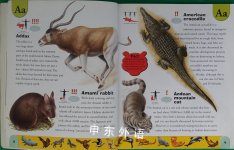 Endangered Animals Dictionary An A to Z of Threatened Species An A to Z of Threatened Species