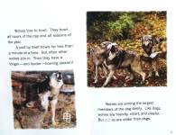 HOWL A Book About Wolves