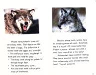 HOWL A Book About Wolves