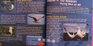 Swim, Slither, and Soar (Dixney Pixar Finding Nemo)