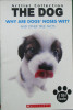 Dog: Why Are Dogs Noses Wet? And Other True Facts