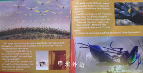 The Ant Bully: Revenge of the Ants