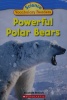 Powerful Polar Bears