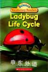 Ladybug Life Cycle Justin McCory Martin