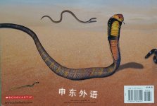 Snakes: Long Longer Longest