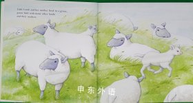 Little Lamb Soft-To-Touch Books Scholastic