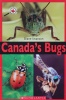 Canada Close Up: Canada's Bugs
