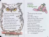 Nate the Great on The Owl Express