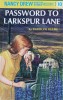 The Password to Larkspur Lane (Nancy Drew Book 10)