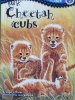 Cheetah Cubs Penguin Young Readers L3