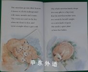 Baby Meerkats (Penguin Young Readers, L3)