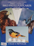 North American Bird Photo Postcards in Full Color Academy of Natural Science of Philadelphia