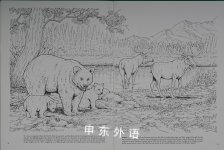 Wild Animals Coloring Book