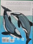 Whales and Dolphins Coloring Book (Dover Nature Coloring Book)