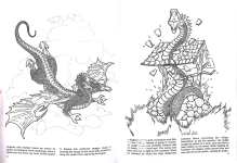 Dragons Coloring Book
