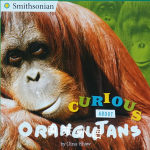 Curious About Orangutans (Smithsonian) Gina Shaw