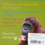 Curious About Orangutans (Smithsonian)