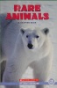 Rare Animals : A Chapter Book (Scholastic Edition)