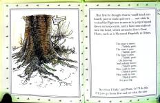 A House Is Built at Pooh Corner for Eeyore