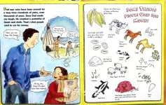 Lots and Lots of Coins