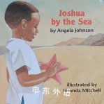 Joshua By The Sea Angela Johnson